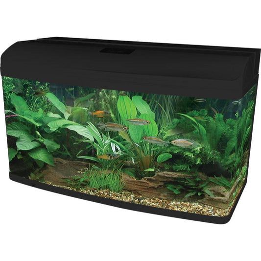 AquaStyle Tank 215L