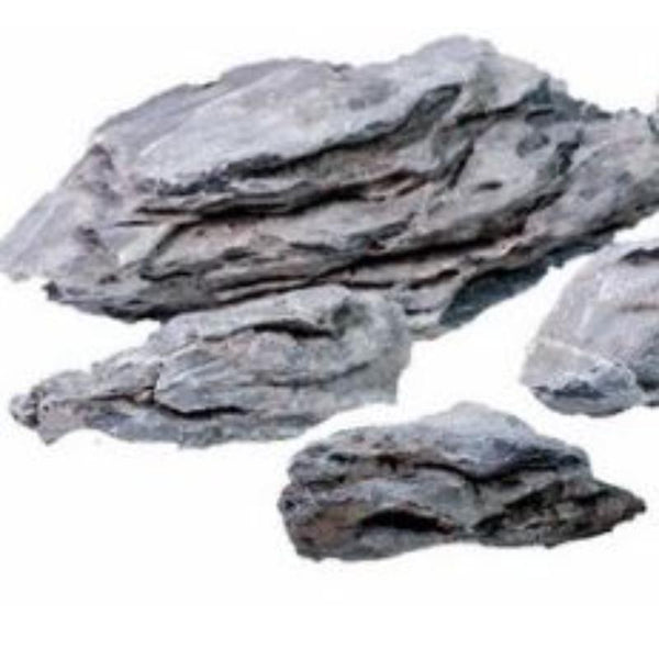 Acid Wash Seiryu Rock – Tropical Fish Company