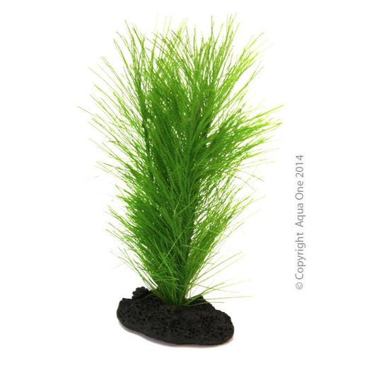 Aqua One - Betta Fern