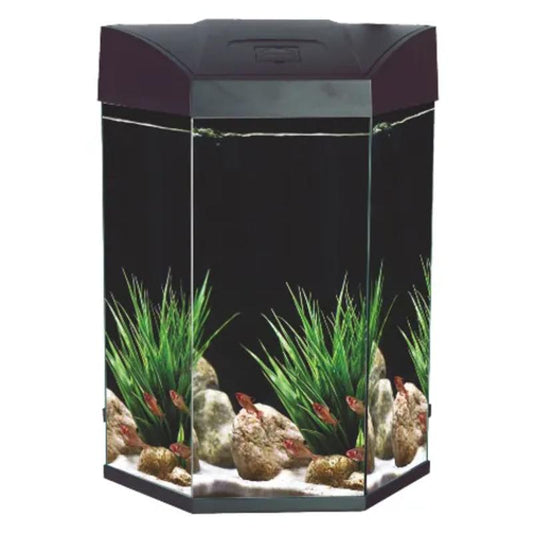 AA Basic Hex Aquarium 70L