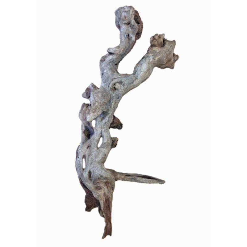 Pacifica Driftwood