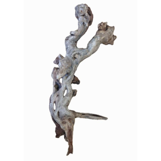 Pacifica Driftwood