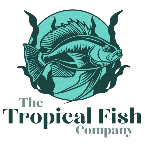 Tropical Fish Company