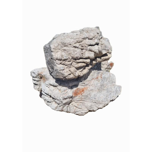 Turtle Vein Rock